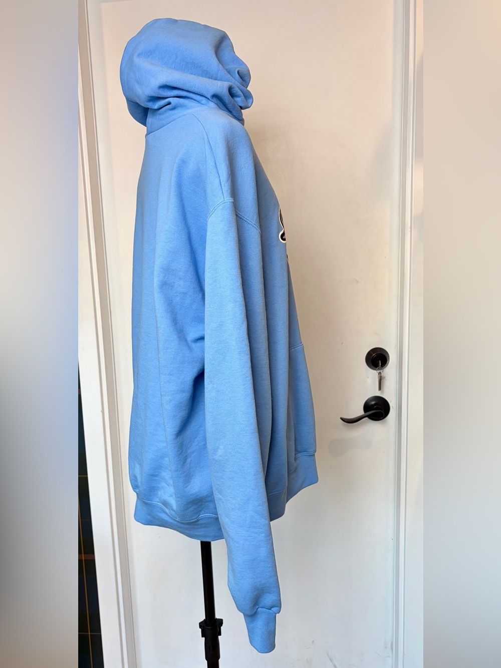 Champion UNC Carolina Blue Pullover Hoodie, Graphic design, Men’s L, EUC - Picture 8 of 10